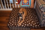 BOXERS QUILT RETREAT
